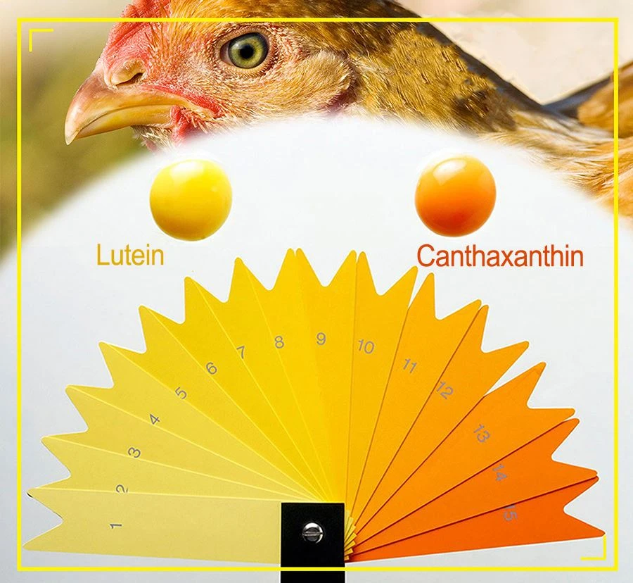 Canthaxanthins