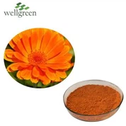 Лутеин на прах