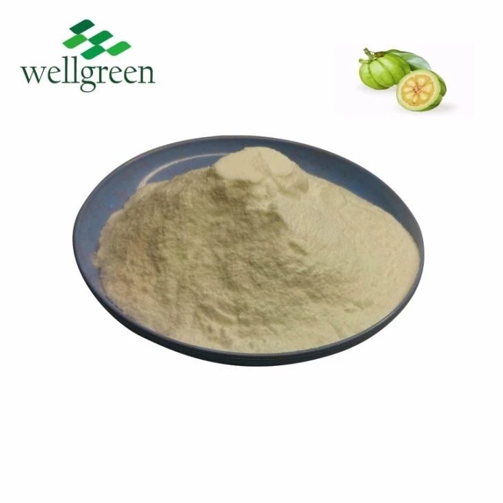 Wholesale Garcinia Cambogia Extract Powder Garcinia Cambogia 60%