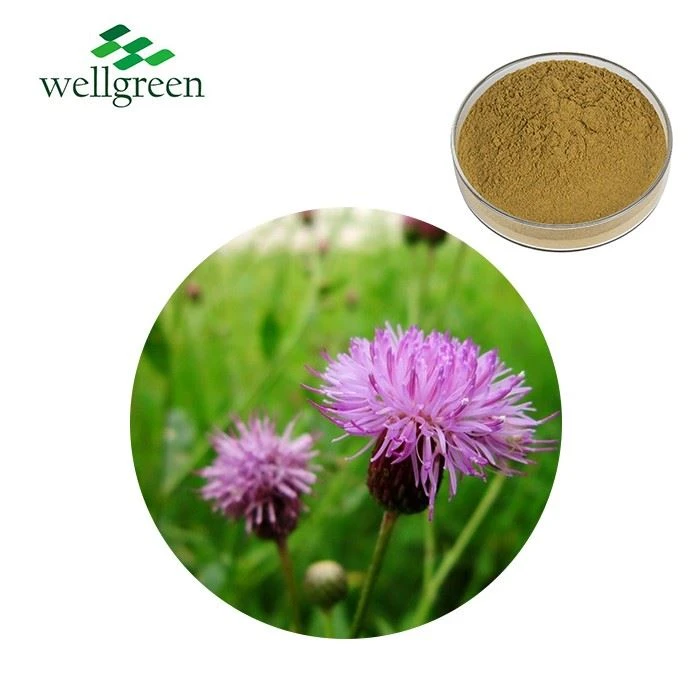 Milk Thistle Extract