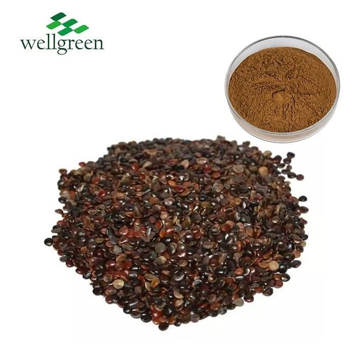 Semen Hoveniae Extract