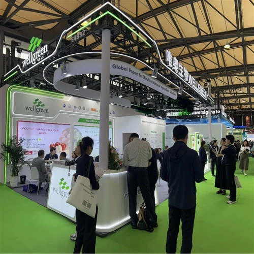 На живо в CPHI Китай: Wellgreen подчертава разширената доставка на щанд E4B32